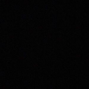 Meet your Posher, Lillie